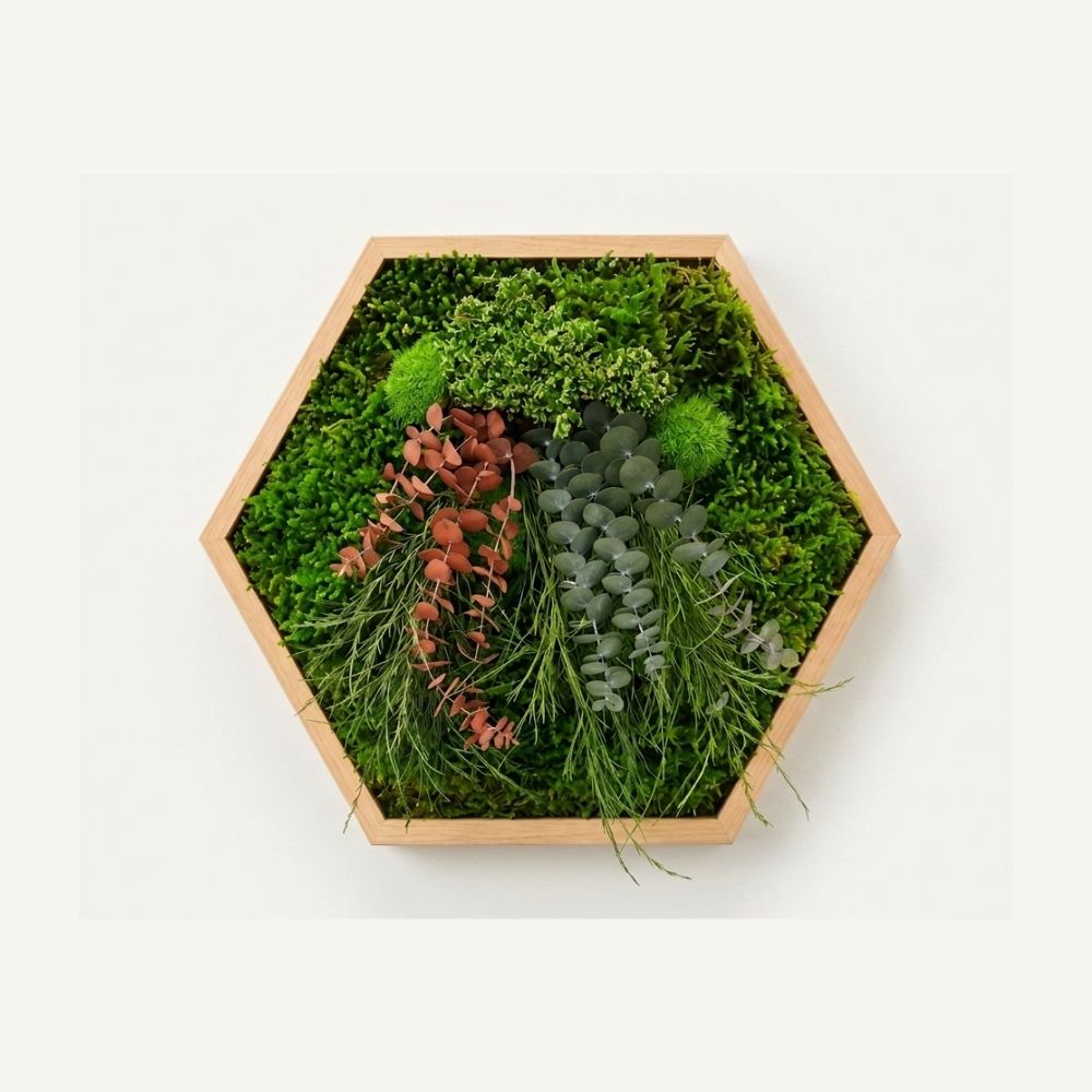 Doğal ahşap çerçeveli, stabilize yosun ve eucalyptus bitkileriyle tasarlanmış altıgen yosun tablo